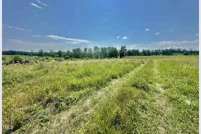 Lot 1 Jones Road, Hurdle Mills, NC 27541 - Photo 8