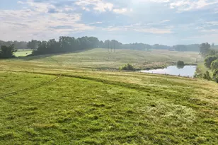 975 Paschall Rd, Warrenton, NC 27589 - Photo 18