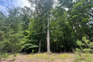 208 Jefferson Dr, Durham, NC 27712 - Photo 1