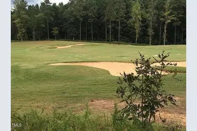 68 Larkspur Court Court, Pittsboro, NC 27312 - Photo 4