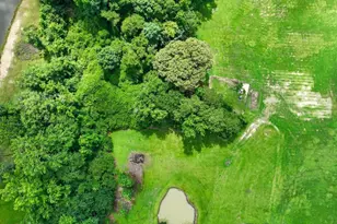 Lot 2 Raleigh Rd, Four Oaks, NC 27524 - Photo 1