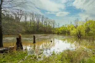 390 Line Creek Farm Rd, Yanceyville, NC 27379 - Photo 90