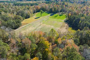 390 Line Creek Farm Rd, Yanceyville, NC 27379 - Photo 84