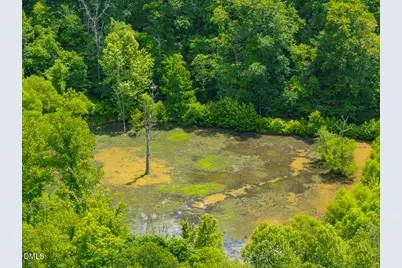 390 Line Creek Farm Road, Yanceyville, NC 27379 - Photo 80