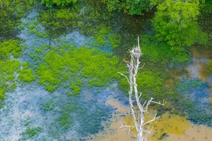 390 Line Creek Farm Rd, Yanceyville, NC 27379 - Photo 94