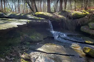 405 Fls Blf Dr, Wake Forest, NC 27587 - Photo 40