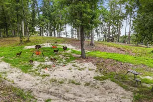 4725 Creeks Jct Rd, Blounts Creek, NC 27814 - Photo 42