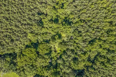 0 W River Road, Franklinton, NC 27525 - Photo 8