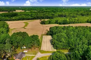 320 Dead End Rd, Enfield, NC 27823 - Photo 24