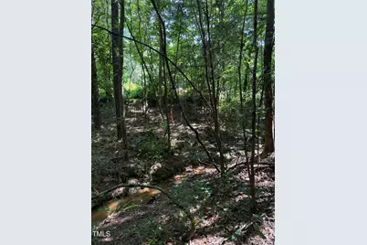 190 Louise Jenkins Road, Moncure, NC 27559 - Photo 6