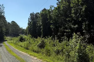 190 Louise Jenkins Rd, Moncure, NC 27559 - Photo 1