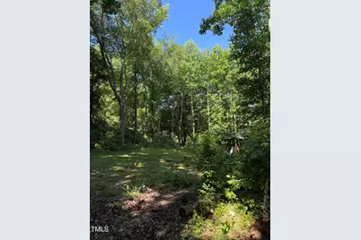 190 Louise Jenkins Road, Moncure, NC 27559 - Photo 2