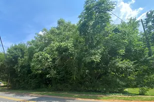 421 W Holt St, Mebane, NC 27302 - Photo 1