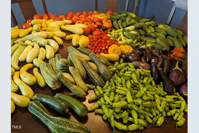 4008 Old Nc 86, Hillsborough, NC 27278 - Photo 8