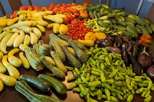 4008 Old NC 86, Hillsborough, NC 27278 - Photo 8