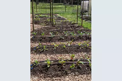 4008 Old Nc 86, Hillsborough, NC 27278 - Photo 32