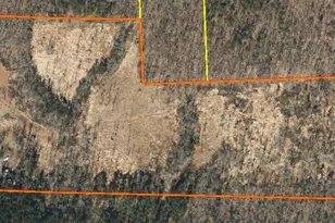 4008 Old NC 86, Hillsborough, NC 27278 - Photo 2