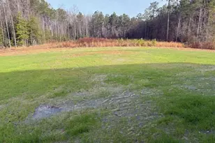 521 Olivia Crossing Ct, Four Oaks, NC 27524 - Photo 32