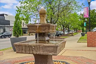 98 Bloodroot St, Angier, NC 27501 - Photo 28