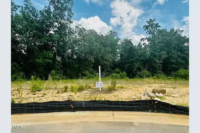 346 New Twin Branch Court, Smithfield, NC 27577 - Photo 2