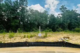 346 New Twin Br Ct, Smithfield, NC 27577 - Photo 2