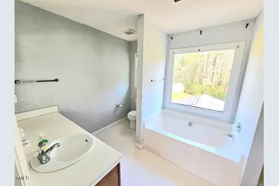 250 Pope Lake Road, Angier, NC 27501 - Photo 6