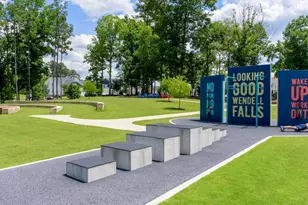 1217 Barreto Dr, Wendell, NC 27591 - Photo 44