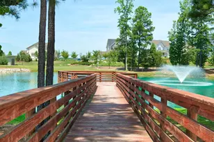 1217 Barreto Dr, Wendell, NC 27591 - Photo 52