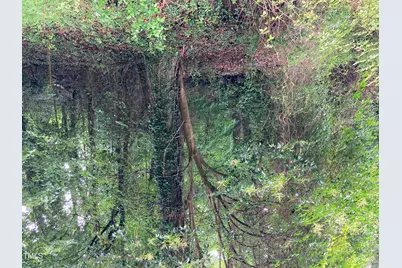 3306 Swansea Street, Durham, NC 27707 - Photo 2