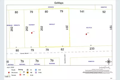 0 Carver Street, Franklinton, NC 27525 - Photo 8