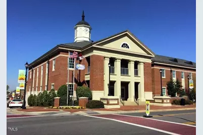 216 Trunnel Street, Holly Springs, NC 27540 - Photo 42