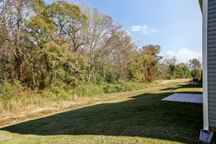 300 New Twin Br Ct, Smithfield, NC 27577 - Photo 44