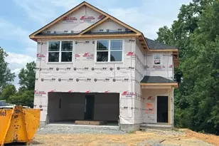 333 New Twin Br Ct, Smithfield, NC 27577 - Photo 2