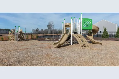 173 Holton Street, Wilsons Mills, NC 27577 - Photo 28