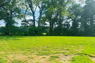 118 Hopewell Br Ct, Smithfield, NC 27577 - Photo 2