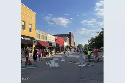 118 Hopewell Branch Court, Smithfield, NC 27577 - Photo 36