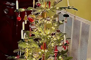 12212 Ashton Woods Ln, Raleigh, NC 27614 - Photo 10