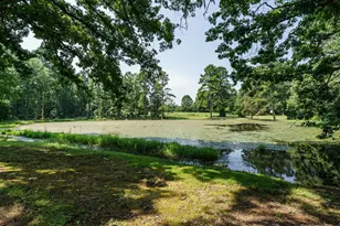 1191 Old Sanford Rd, Moncure, NC 27559 - Photo 28