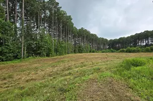 Lot 50 Roseheath Ct, Bailey, NC 27807 - Photo 1