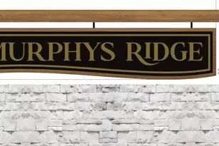 4459 Poppy Mallow Ln, Stem, NC 27581 - Photo 6