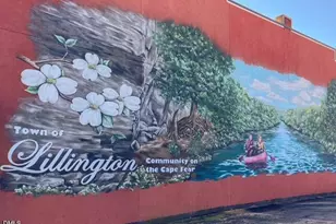 1003 Summerville Mamers Road Rd, Lillington, NC 27546 - Photo 38