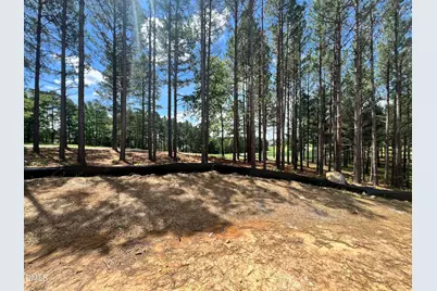 25 Blackhorn Court, Pittsboro, NC 27312 - Photo 90