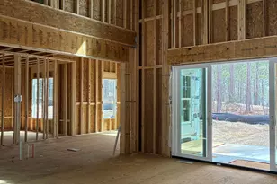 25 Blackhorn Ct, Pittsboro, NC 27312 - Photo 4