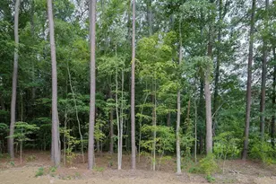 560 S N C 39 Hwy, Louisburg, NC 27549 - Photo 12