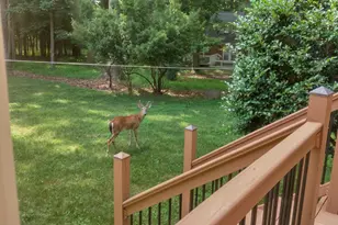 11636 Appaloosa Run W, Raleigh, NC 27613 - Photo 20