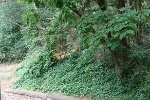 104 Oak Hollow Ct, Raleigh, NC 27613 - Photo 18