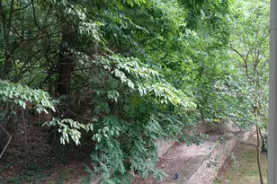 104 Oak Hollow Ct, Raleigh, NC 27613 - Photo 20