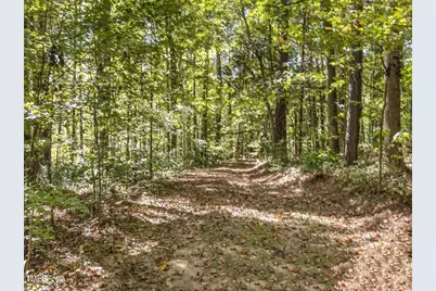 177 Karen Calhoun Road, Pittsboro, NC 27312 - Photo 16