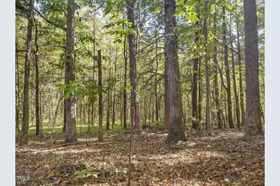 177 Karen Calhoun Road, Pittsboro, NC 27312 - Photo 14