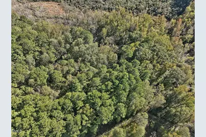 281 Karen Calhoun Road, Pittsboro, NC 27312 - Photo 6